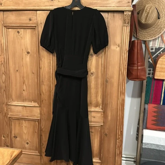 Sachin & Babi Camila Dress - Picture 7 of 8